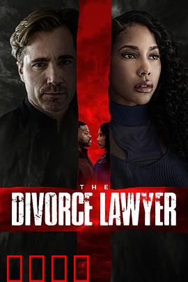 离婚律师：为爱辩护