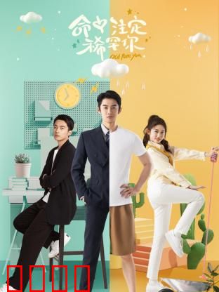 命中注定稀罕你：错位情缘