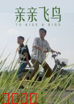 亲亲飞鸟：爱在自由飞翔