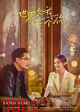 世界欠我一个你：错过的青春