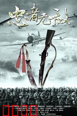 忠者无敌：热血军魂