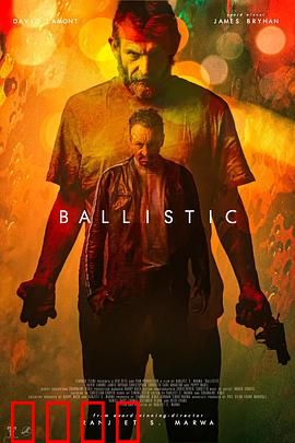 弹道：正义迷途