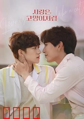 爱情像猫一样：自由与依恋的平衡