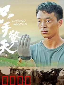 只手擎天：独臂侠义