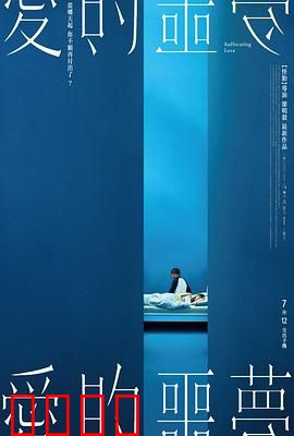 爱的噩梦：双胞胎复仇记