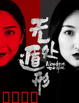 无处遁形：天网追凶