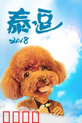 泰逗2018：爆笑囧途