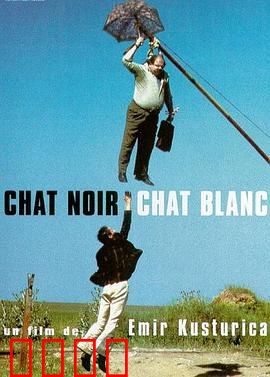 黑猫白猫：疯狂吉普赛婚礼