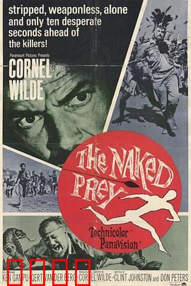 裸杀万里追：真相背后的冷血复仇