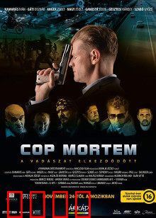 怒火警探：铁血复仇路