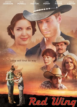 隐形红翼：暗夜追踪