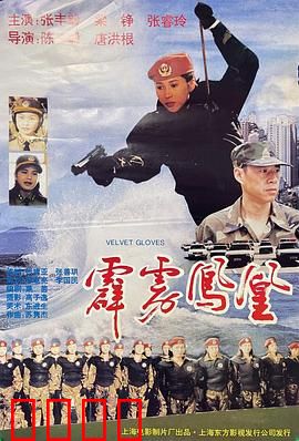 霹雳凤凰：巾帼女警传奇