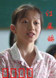 红尾鸽：英勇传说