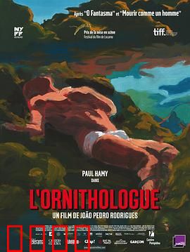 鸟类学家：神秘森林之旅