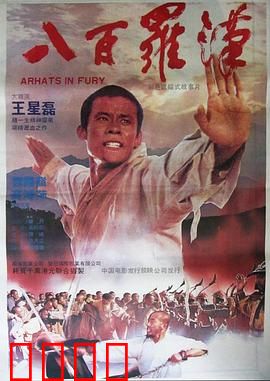 八百罗汉：少林武僧抗金