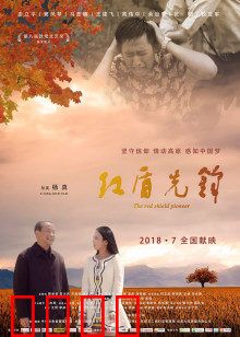 红盾先锋：金融卫士的智斗