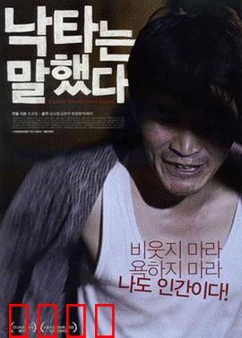 骆驼说话了：沙漠中的秘密