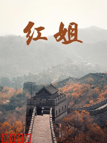 红姐2017：卧底女警的复仇