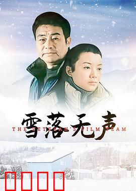 雪落无声：冰封记忆