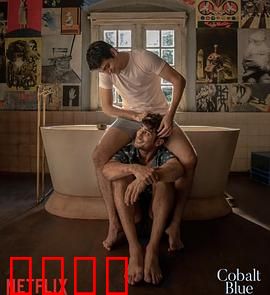 钴蓝爱恋：忧郁艺术之恋