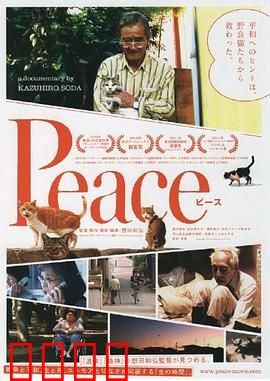 完全和平手册：和平的代价