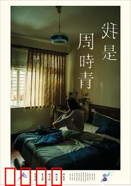 我是周时青：遗忘的拼图