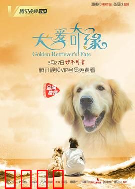 犬爱奇缘：忠犬救赎