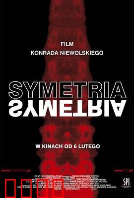 对称：镜像人生