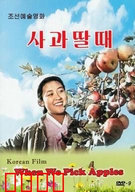 摘苹果的时候：果园里的青春