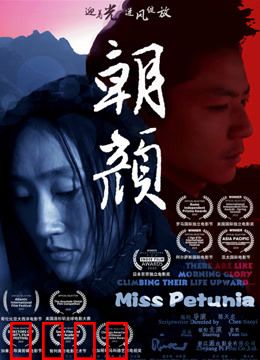 朝颜：家庭情感