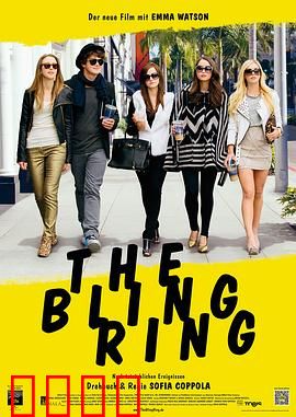 珠光宝气：明星豪宅盗窃案