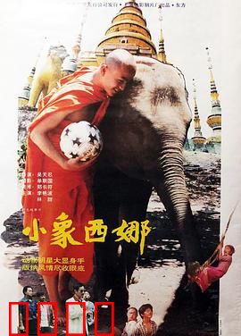 小象西娜：母爱无畏