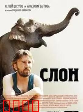 大象菩提：心灵启示