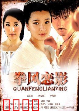 拳风恋影：拳台爱恋