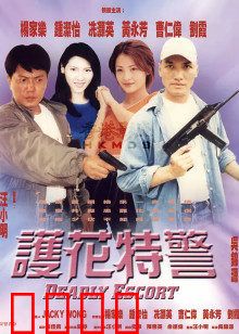 护花特警：暗夜守护