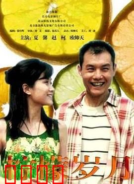 柠檬岁月：酸涩青春的回甘