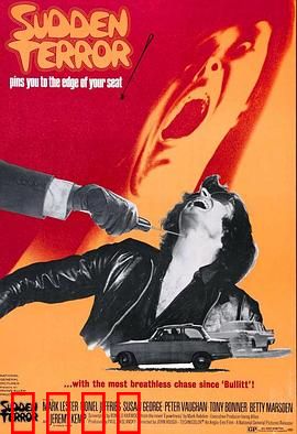 小英雄与大刺客：命运交错