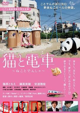 猫与电车：温暖邂逅