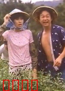 小美我爱你：网恋奇缘