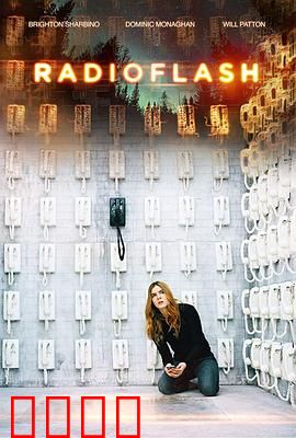 电磁脉冲：末日重生