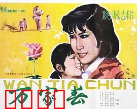 万家春：平凡女性的光芒