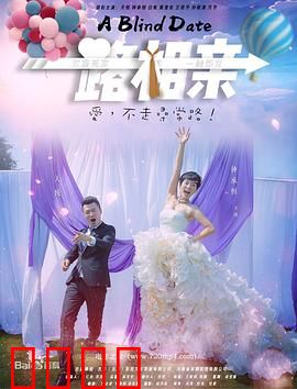 一路相亲：笑中带泪的相亲之旅