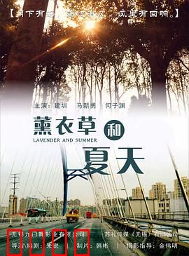 薰衣草和夏天：花香里的爱情