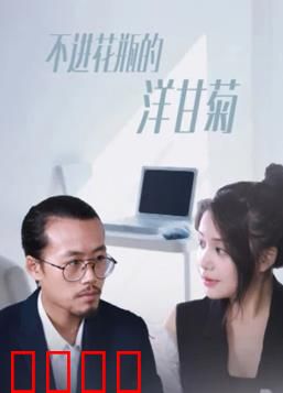 不进花瓶的洋甘菊：自由绽放的野花