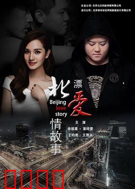 北漂爱情故事2016：挣扎的青春