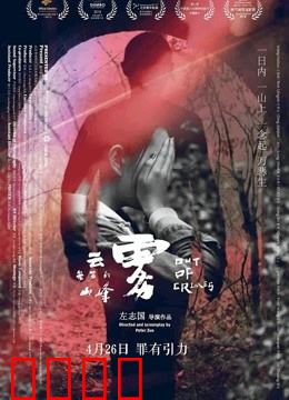 云雾笼罩的山峰：命运的连环套