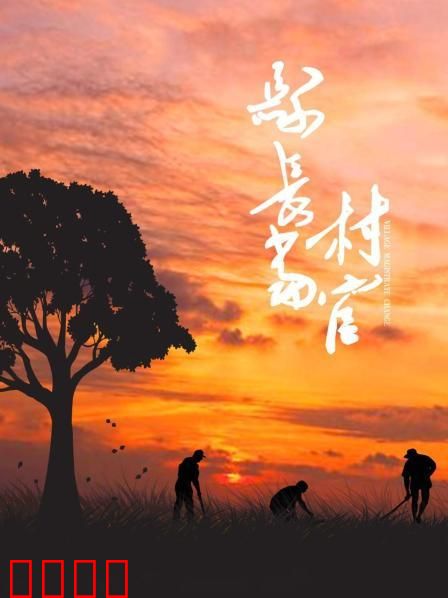 县长当村官：从机关到田头