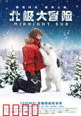 北极大冒险：冰原少年与熊