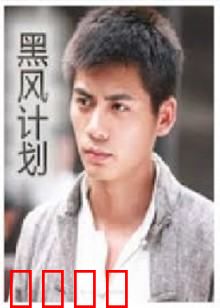 不良英雄：暗夜救赎