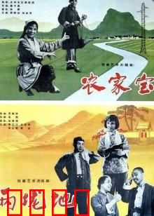 农家宝：丰收的喜悦